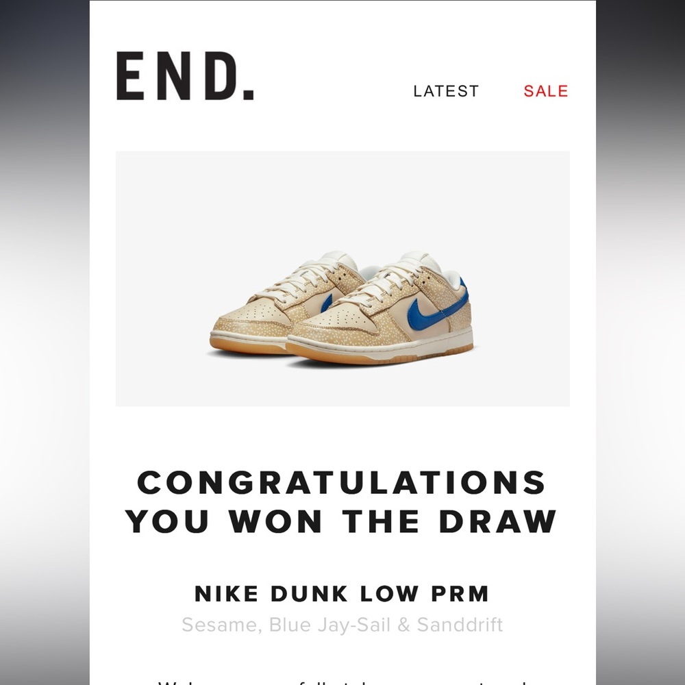 dunk low montreal bagel